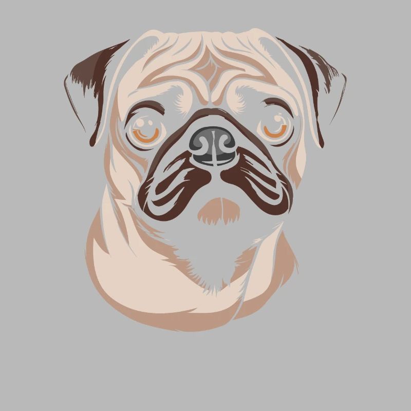 Mops Hund