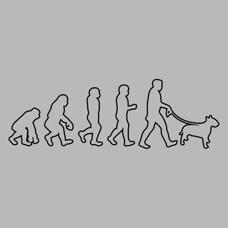 EVOLUTION Labrador