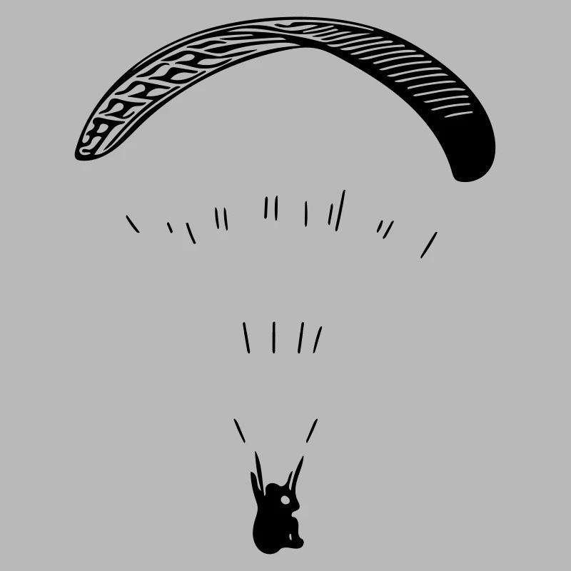 Paraglider