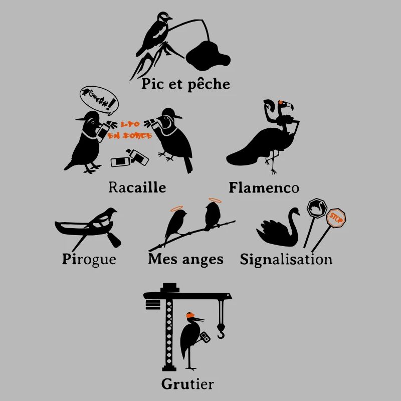 oiseaux oiseau