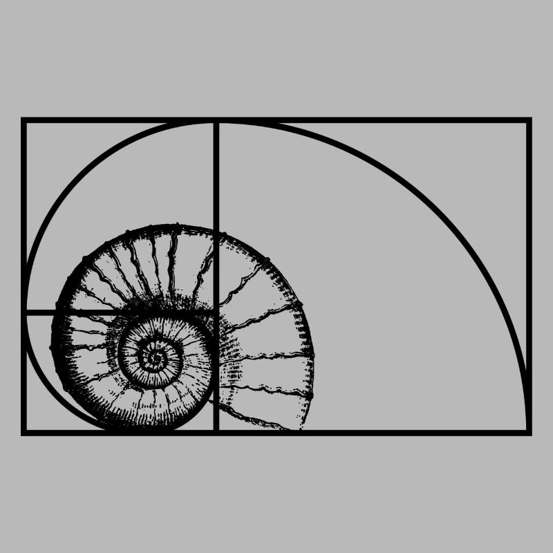 Fibonacci Sequenz Goldener Schnitt
