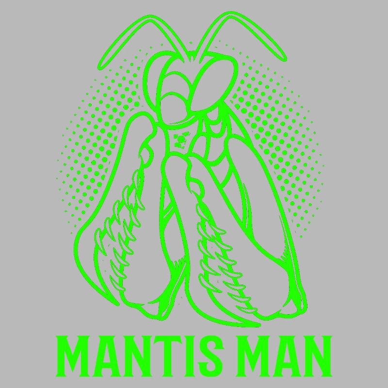 Mantis Gottesanbeter Gottesanbeterin