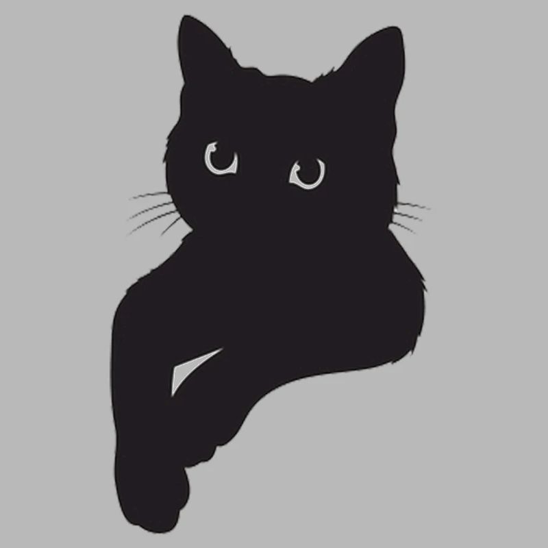 Schwarze Katze Pose