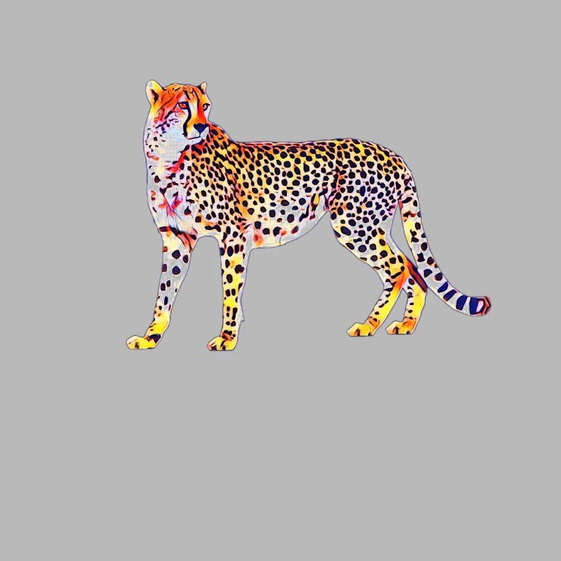guépard