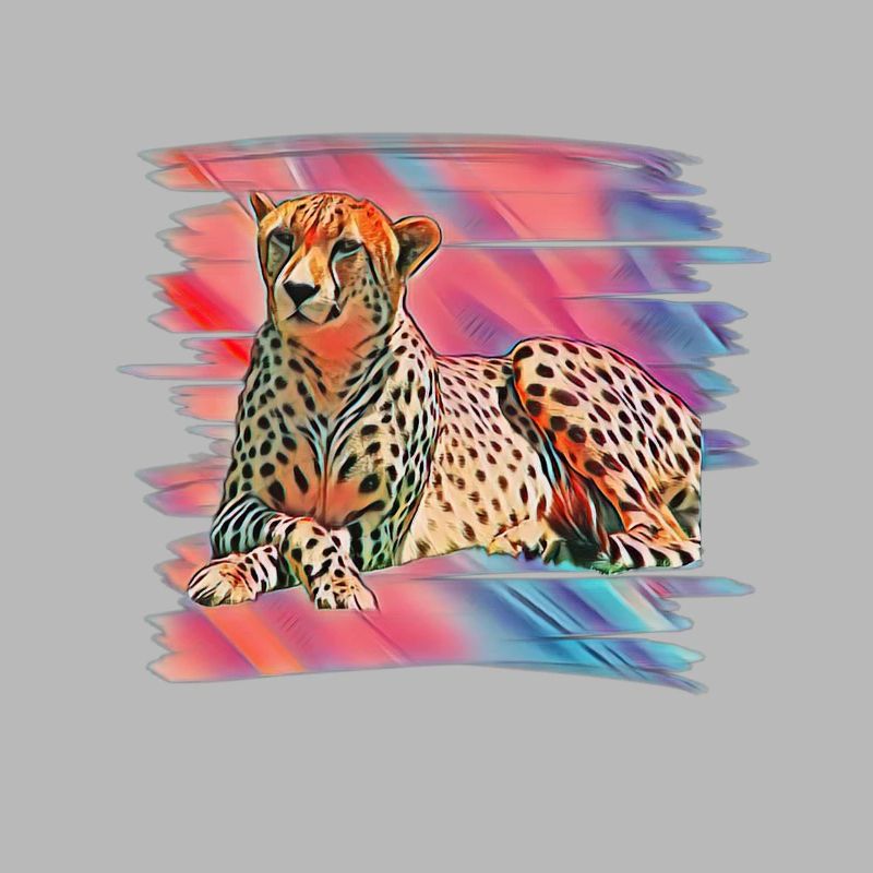 guépard