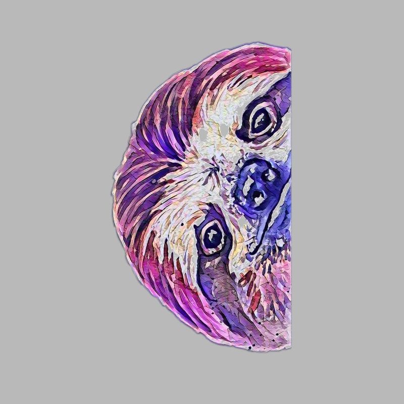 sloth
