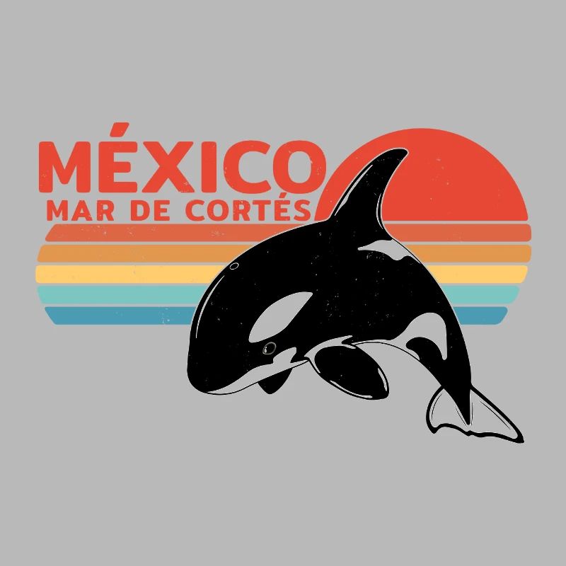 Orca Mar de Cortés Mexiko