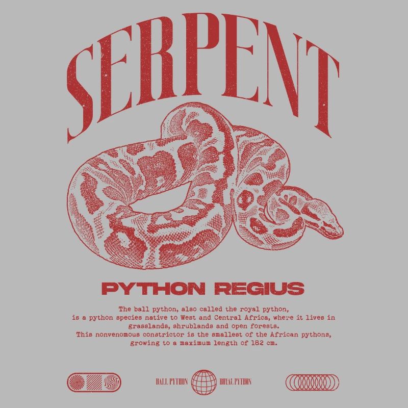 Ball Python Modern Reptile Keeper Streetwear