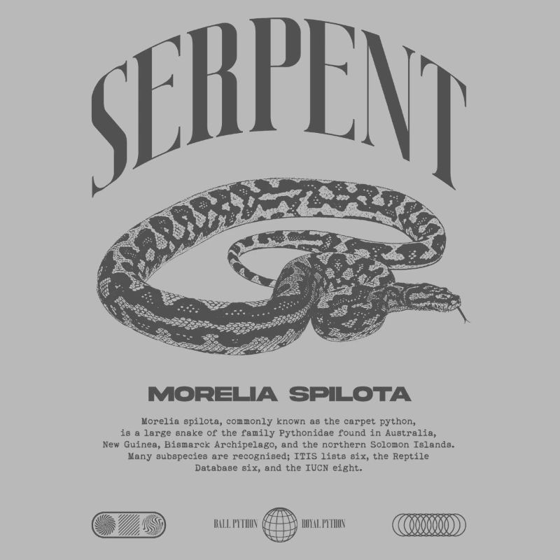 Tapis Python Moderne Reptile Keeper Streetwear