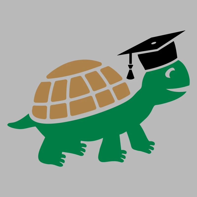 Turtle with doctoral hat Doctoral thesis Study