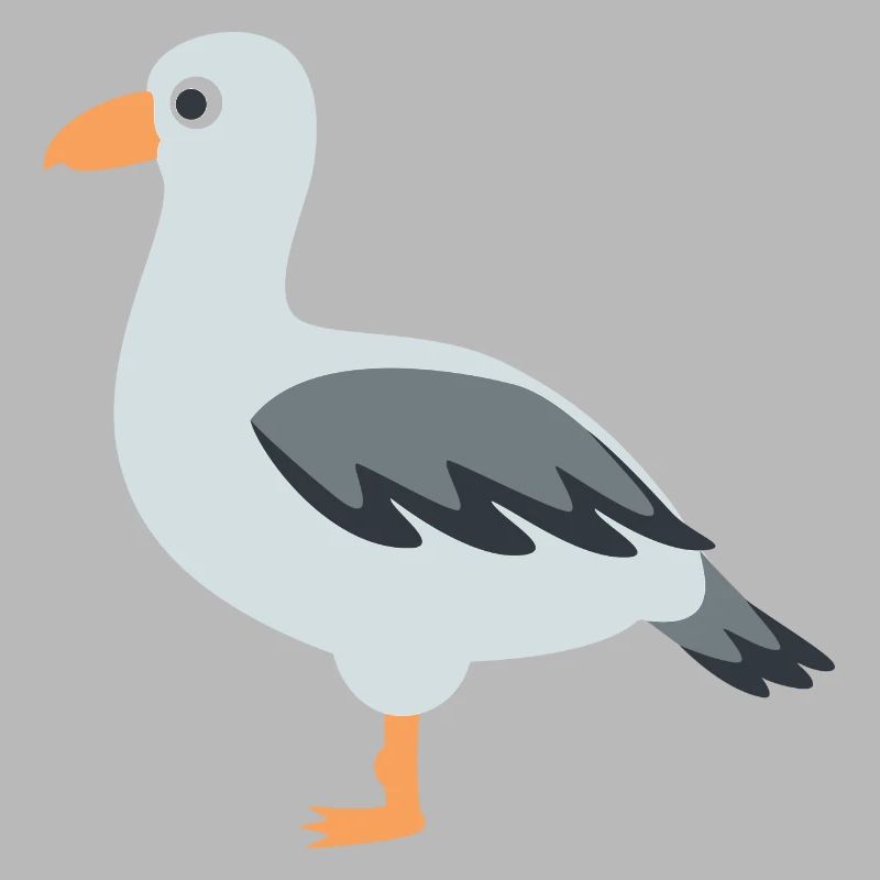 Möwe