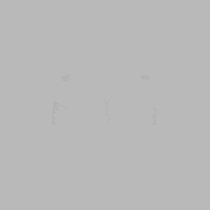 Programmierer Coder Software Entwickler