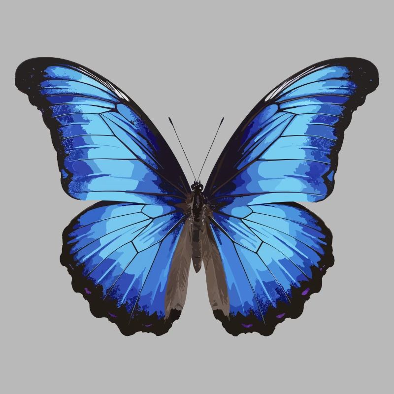 Morpho Papillon Bleu