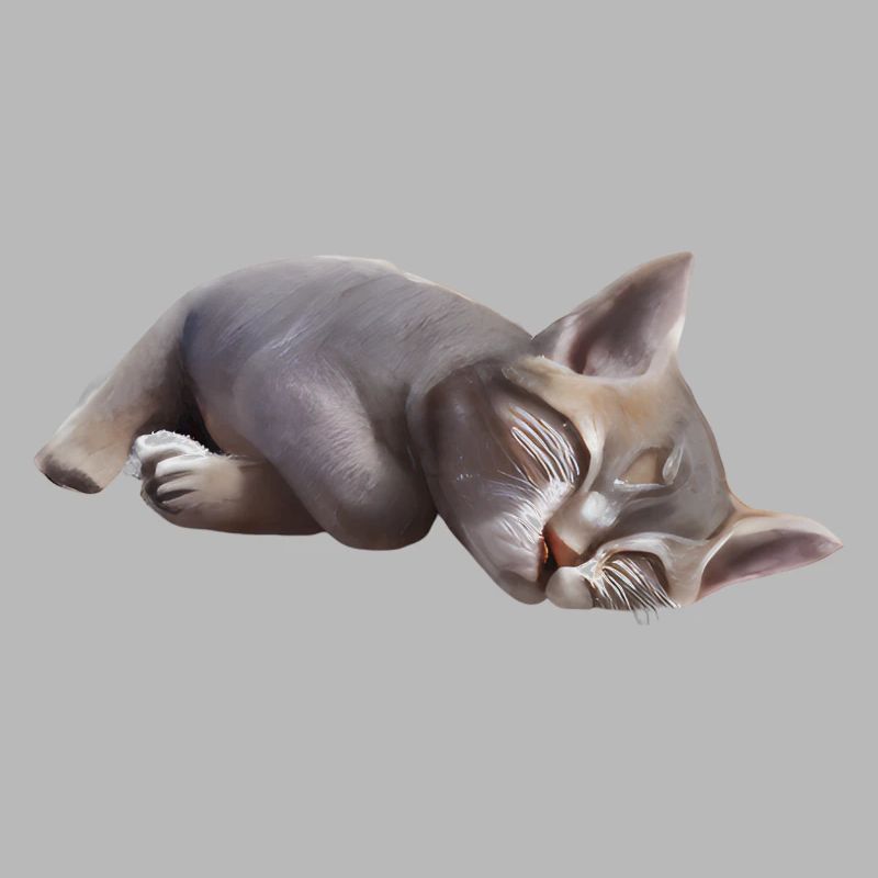 Sleeping cat