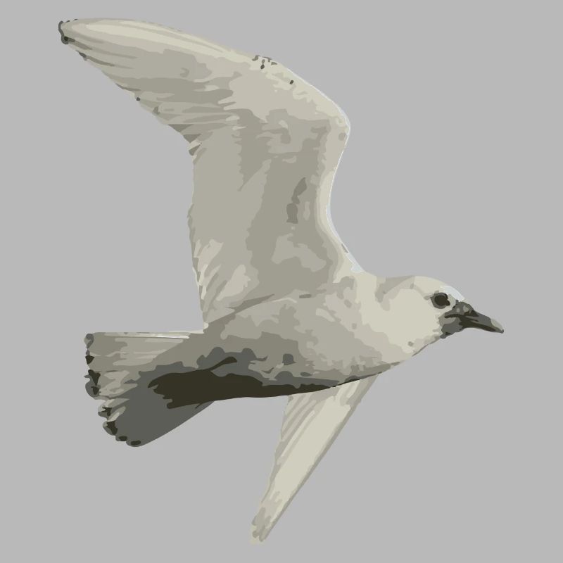 Vogel
