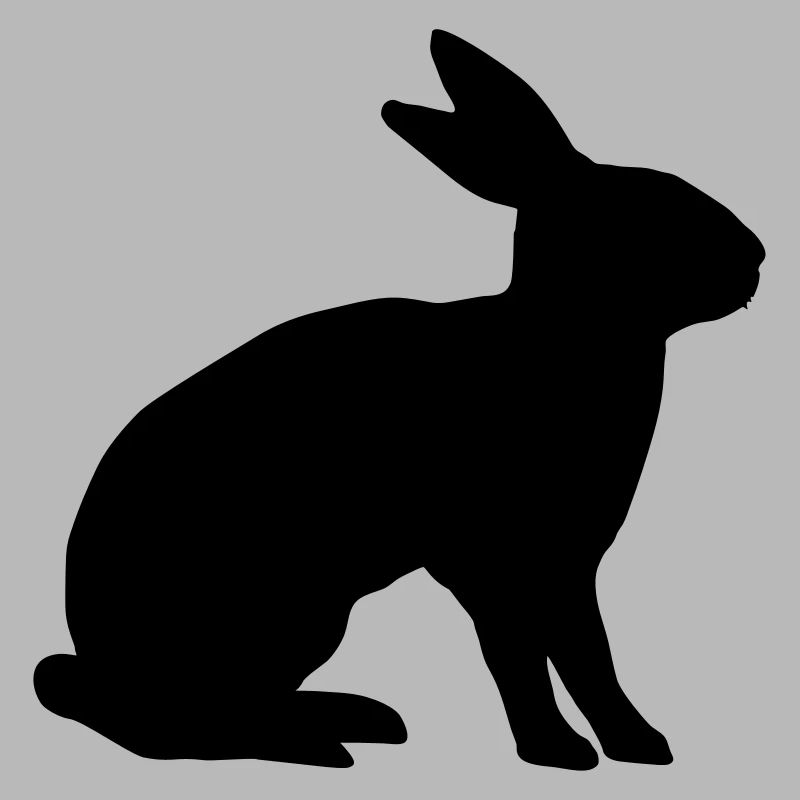 lapin