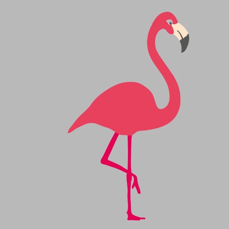 flamant
