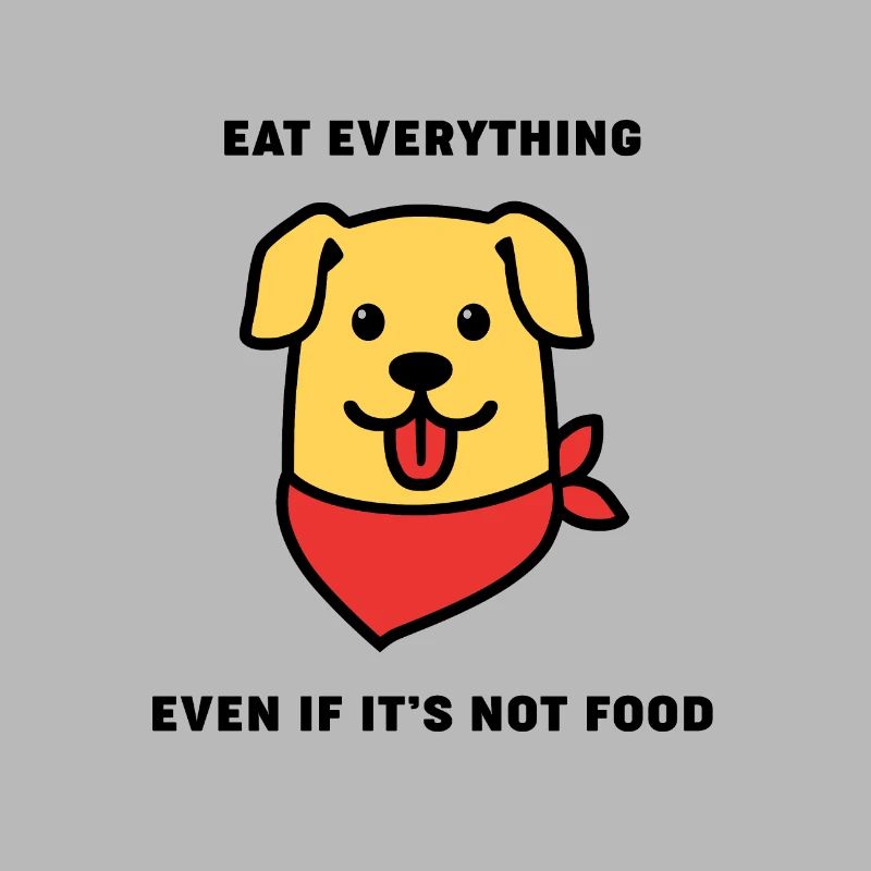 Hund essen alles 9ea87b30 d6f0 11e8 b92a df25f36