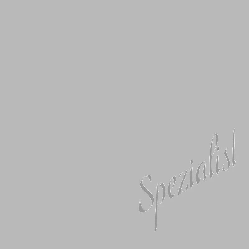 schnitzel