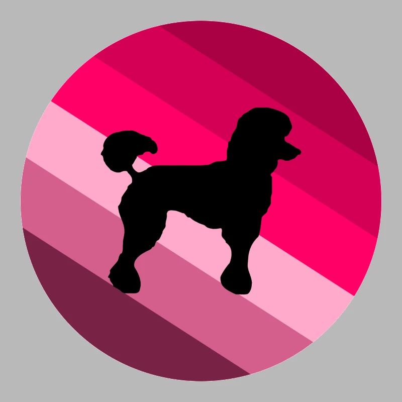 caniche