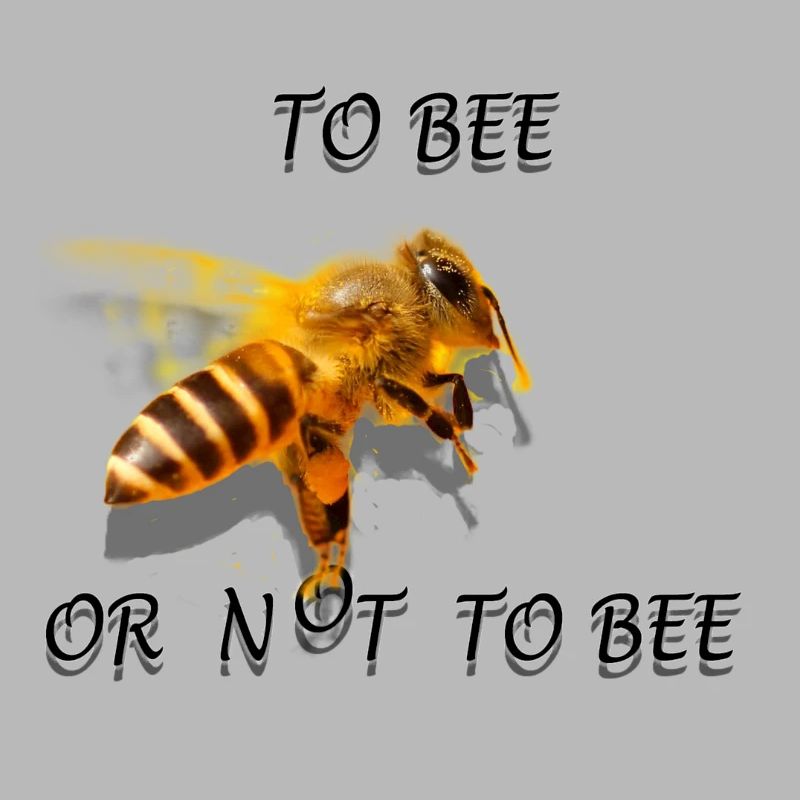 Biene sein oder nicht