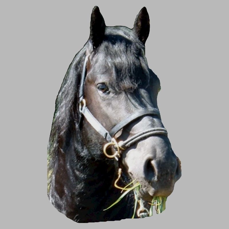 Frieze head