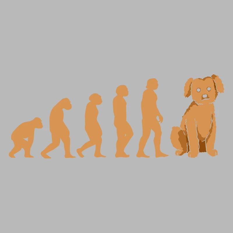 Evolution Poodle