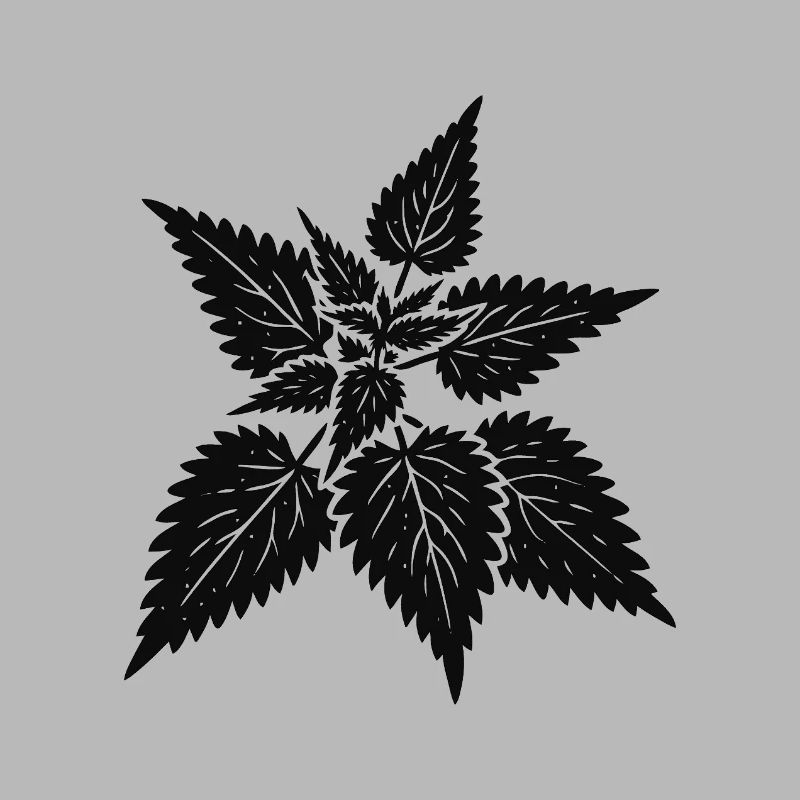 simple nettle design – wild & healing