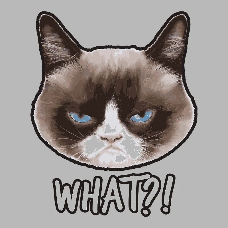 Grumpy Cat Quoi?
