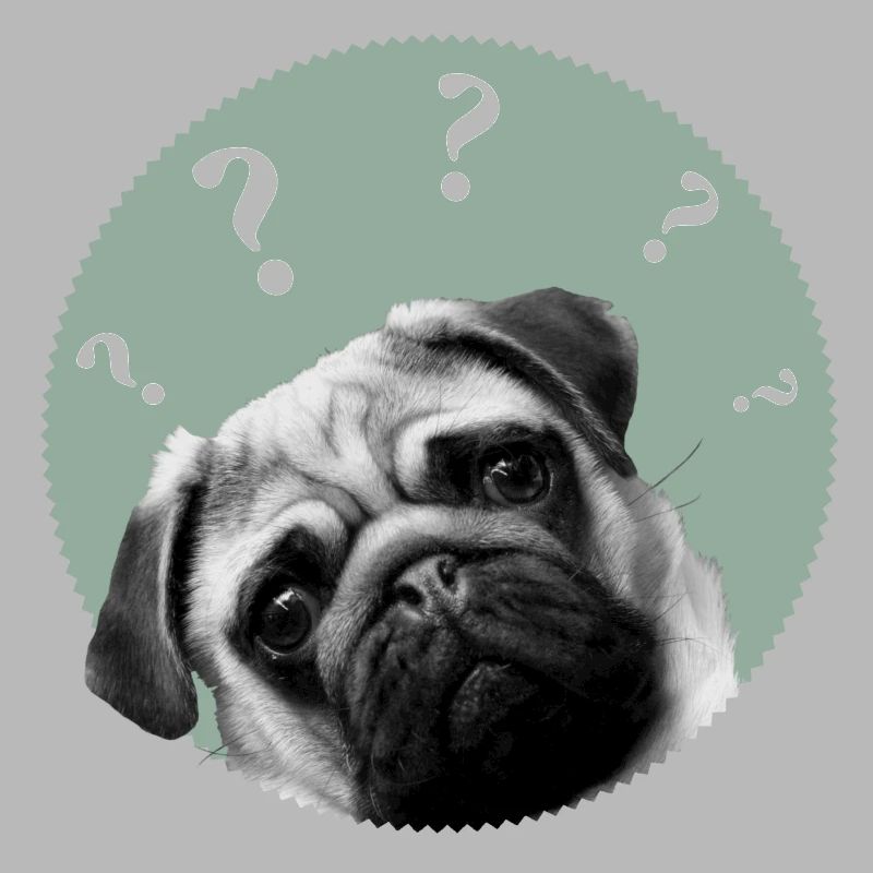 Mops