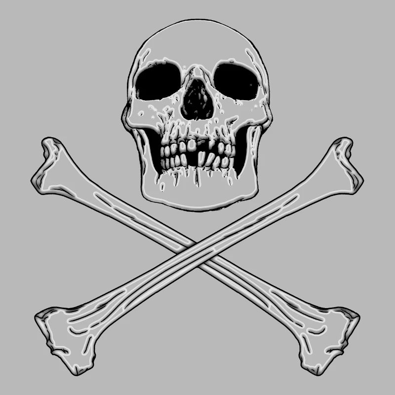 DRAPEAU PIRATE