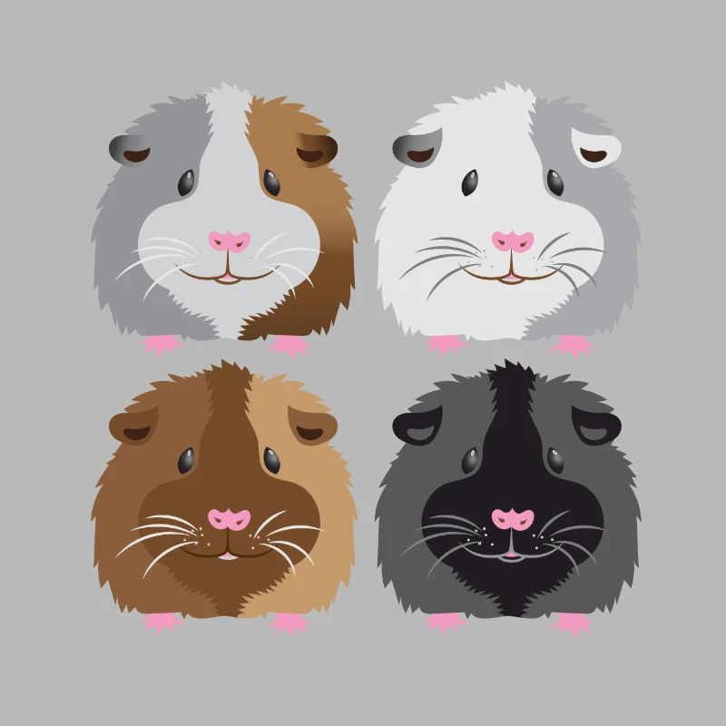 quatre cochons d'Inde!