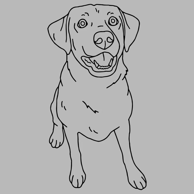 Hund