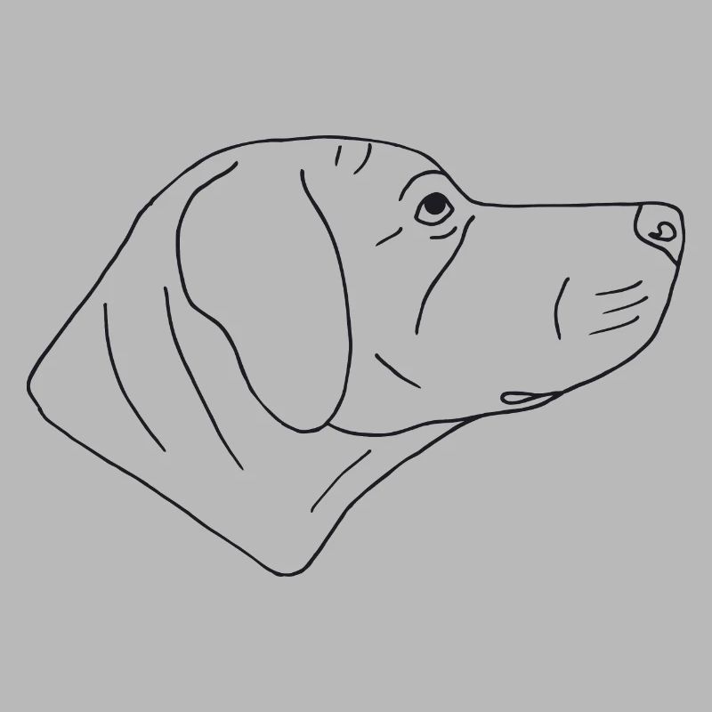 Rhodesian Ridgeback