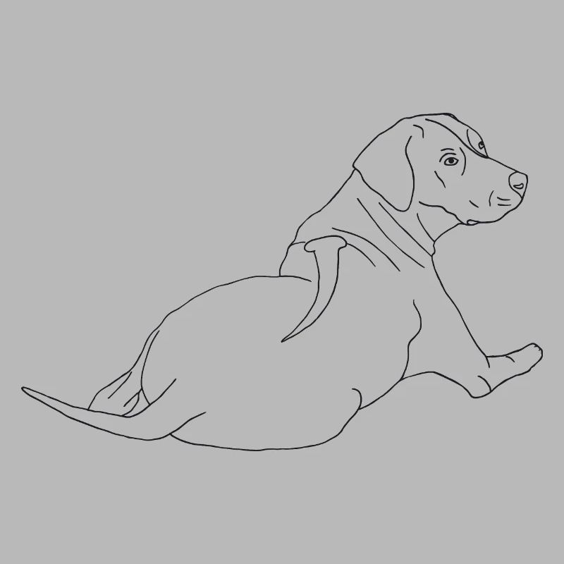Rhodesian Ridgeback