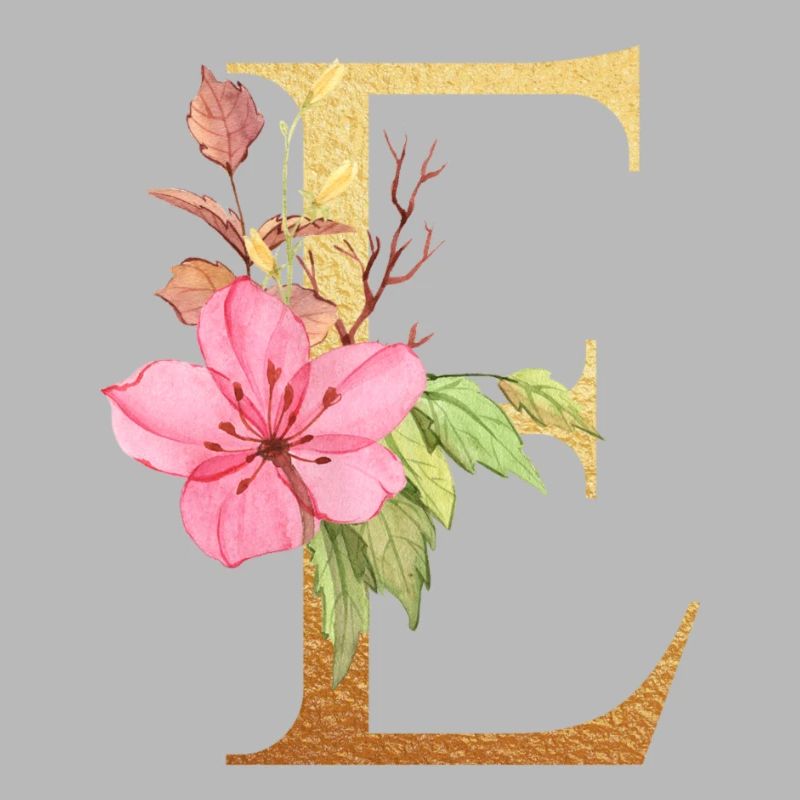 Lettre e