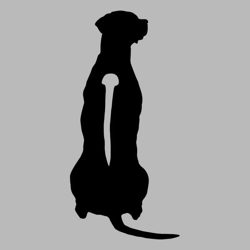 Rhodesian Ridgeback Back