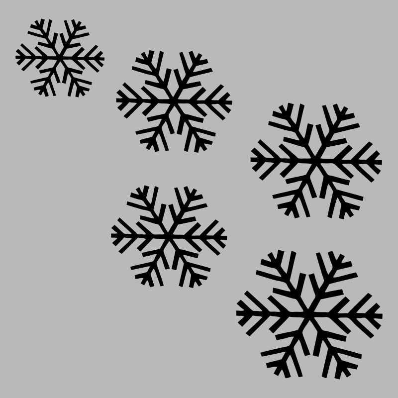 neige flocon de neige