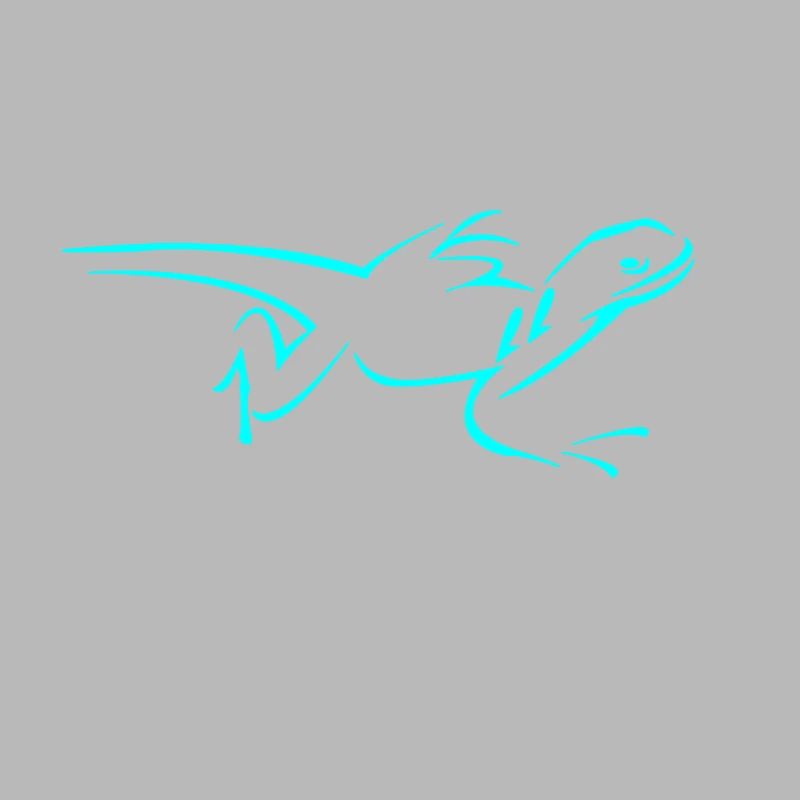 lizard