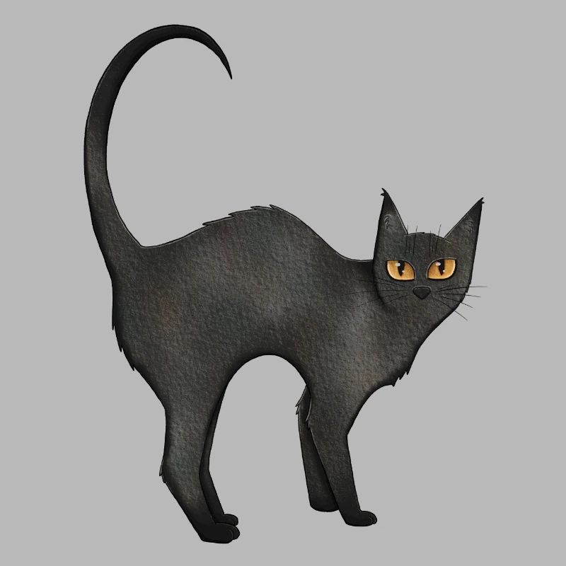 Chat Noir