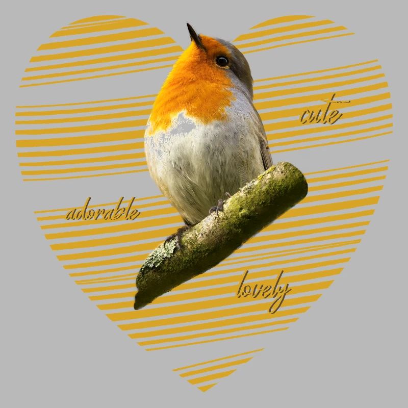 Rotkehlchen robin Erithacus rubecula