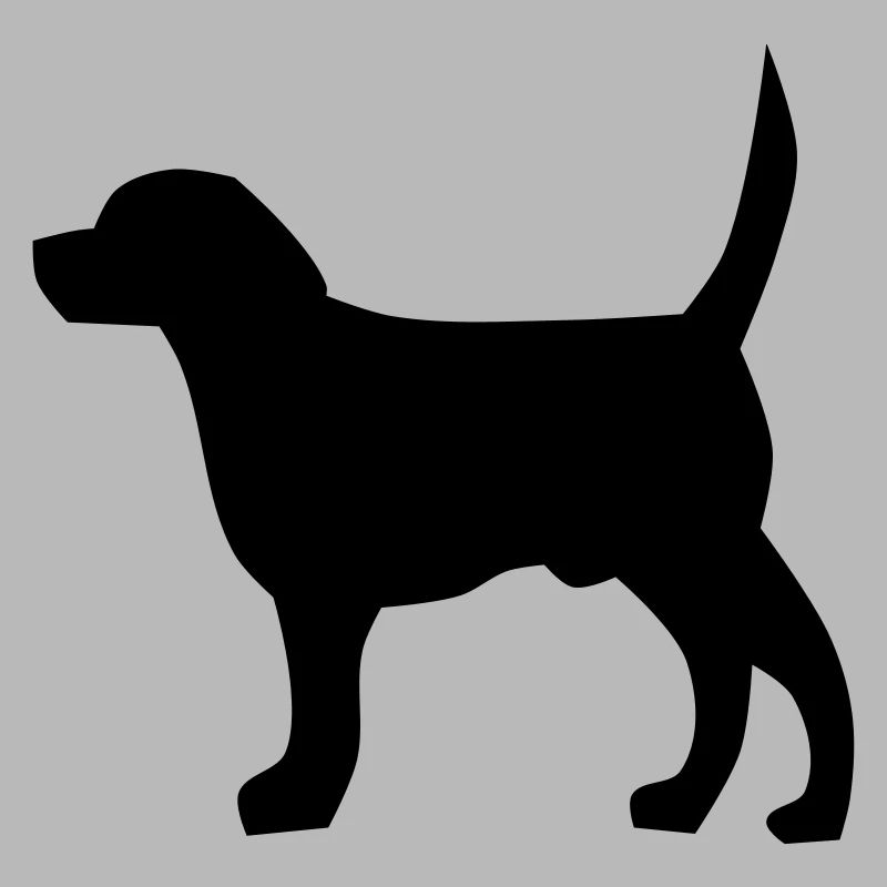 Cane