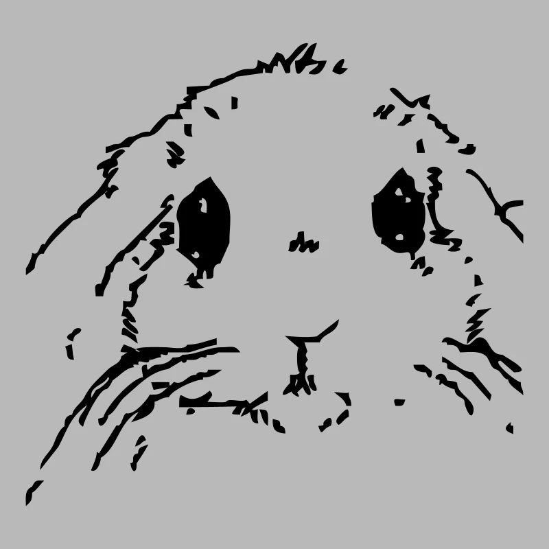 Hase