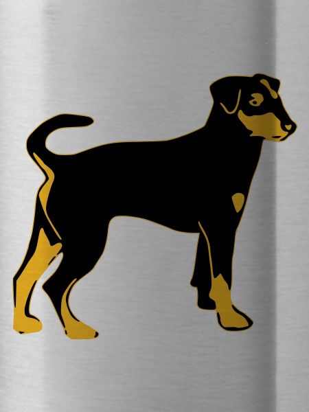 pinscher dog