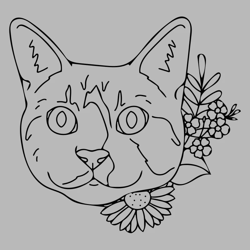 chat