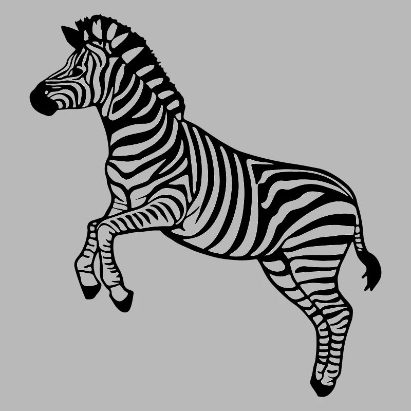zebra Botswana Zèbre des plaines