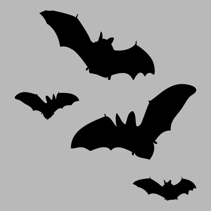 fledermaus1