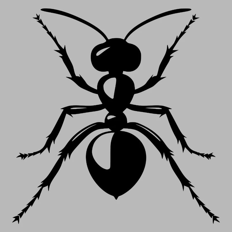Ant