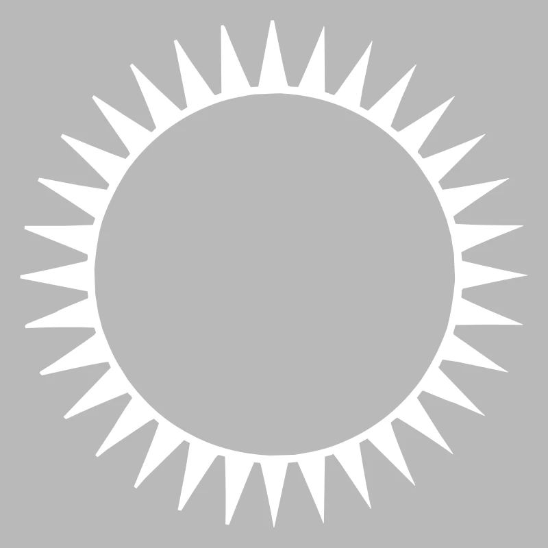 Die schwarze Sonne