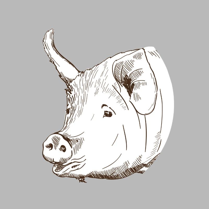 Schwein